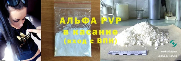 Альфа ПВП Новозыбков