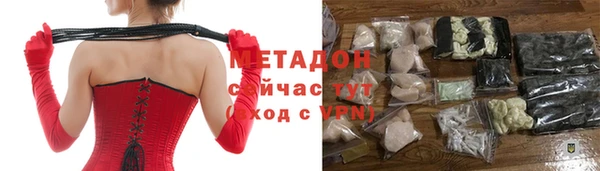 индика Надым