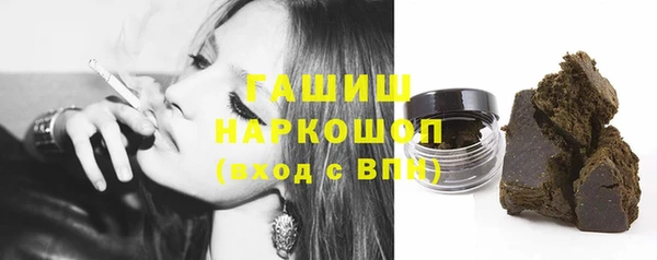 индика Надым