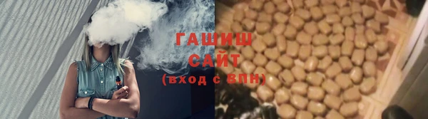 индика Надым