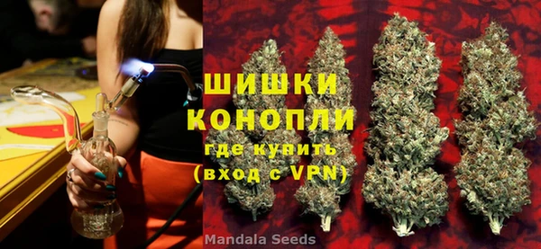 индика Надым