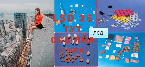 индика Надым