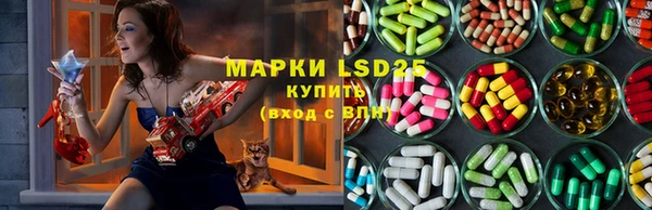 индика Надым