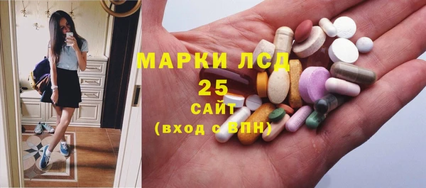гидра Наволоки