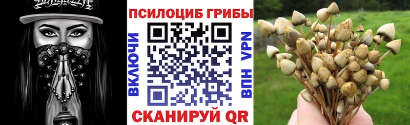 закладки  Ликино-Дулёво  Галлюциногенные грибы MAGIC MUSHROOMS 