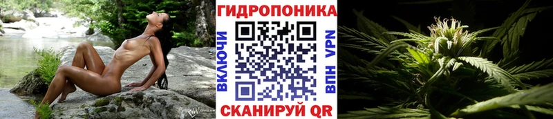 Шишки марихуана Ganja Ликино-Дулёво